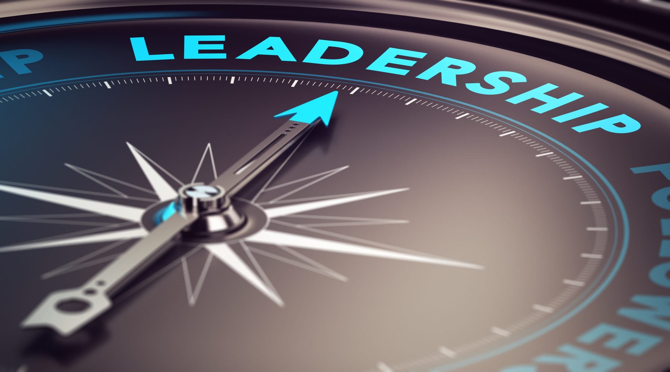The Unyielding Power of Drive in Leadership