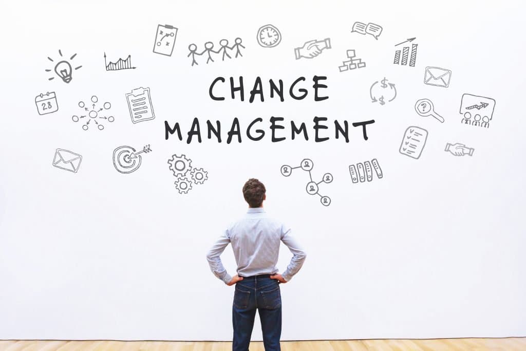 Change Management Strategies for Leaders by Dionne Van Zyl