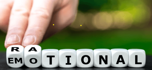 Decoding Rational Intelligence: How It Affects Your Leadership Style